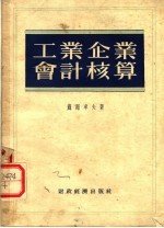 工业企业会计核算