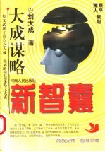 新智慧:大成谋略 上
