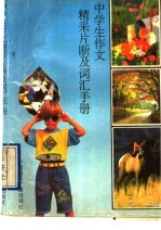 中学生作文精彩片段及词汇手册