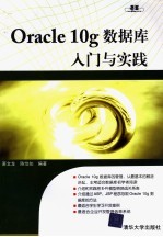 Oracle 10g数据库入门与实践