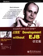 Expert one-on-one J2EE Development without EJB 中文版