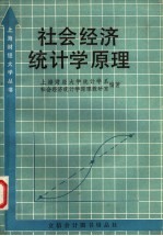 社会经济统计学原理 第2版