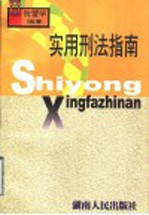实用刑法指南