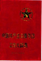 中国共产主义青年团工作大辞典