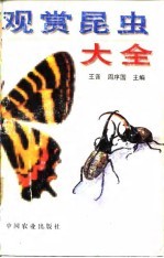观赏昆虫大全