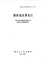 黑龙江文史资料 第28辑 国民党在黑龙江