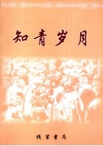 株洲文史 第26辑 知青岁月
