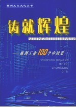 株洲文史 第24辑 铸就辉煌——株洲工业100个中国第一