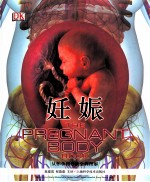 妊娠 从怀孕到分娩全程图解