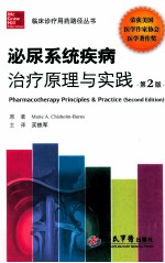 泌尿系统疾病治疗原理与实践 第2版