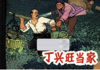 丁兴旺当家