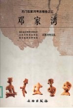 邓家湾:天门石家河考古报告之二