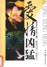 爱情凶猛