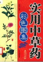 常用中草药鉴别与应用
