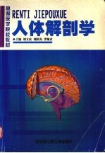 人体解剖学