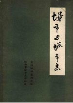城市与城市志