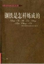 钢铁是怎样炼成的