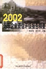 2002远东企业资信评级报告精要