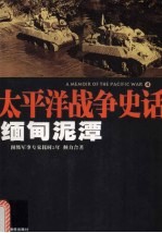 缅甸泥潭