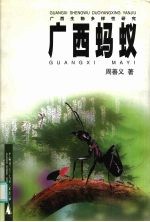 广西蚂蚁