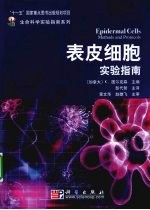 表皮细胞实验指南