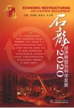 石龙2020 经济转型与科学发展
