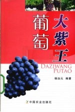 大紫王葡萄