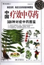 中国疗效中草药 320种对症中草药图鉴