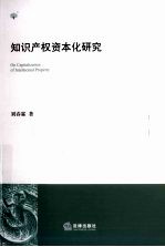 知识产权资本化研究