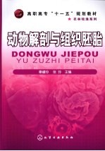 动物解剖与组织胚胎
