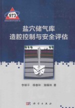 盐穴储气库造腔控制与安全评估