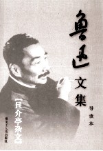 鲁迅文集 导读本 第17卷 且介亭杂文