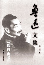 鲁迅文集 导读本 第14卷 伪自由书