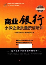 商业银行小微企业批量授信培训