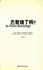巴黎烧了吗?