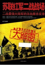 苏联红军二战战场大解密 二战最强大陆军的浴血厮杀实录