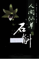 人间仙草 石斛