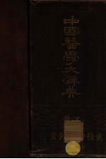 中国医学大辞典 下