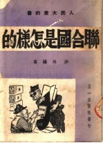 联合国是怎样的
