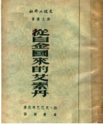 从白金国来的艾素丹