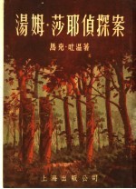 汤姆·莎耶侦探案