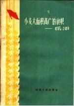 小麦大面积高产的旗帜-岳滩