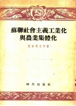苏联社会主义工业化与农业集体化