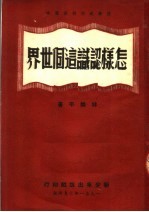 国际政治初级读本 怎样认识这个世界 第2版