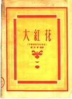 大红花 中国器乐及其合奏曲