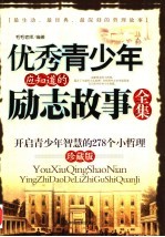 优秀青少年应知道的励志故事全集 开启青少年智慧的278个小哲理 珍藏版