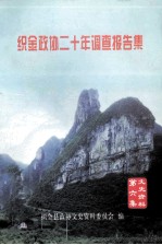 织金政协二十年调查报告集 文史资料第6集