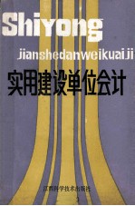 实用建设单位会计