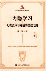 内隐学习 人类适应与发展的高效之路
