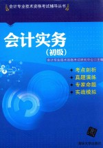 会计实务 初级